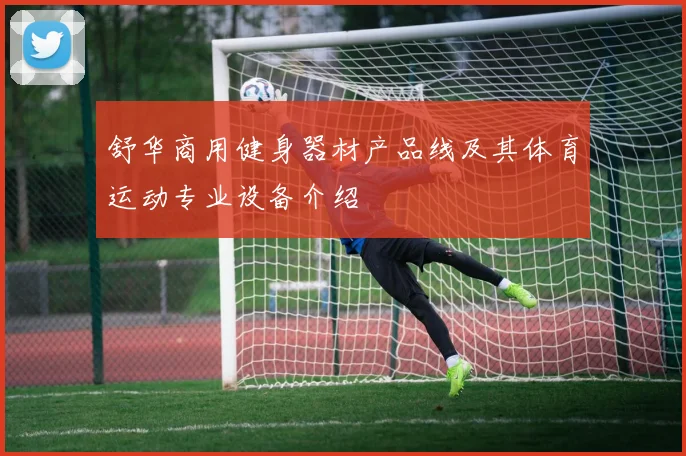 舒华商用健身器材产品线及其体育运动专业设备介绍