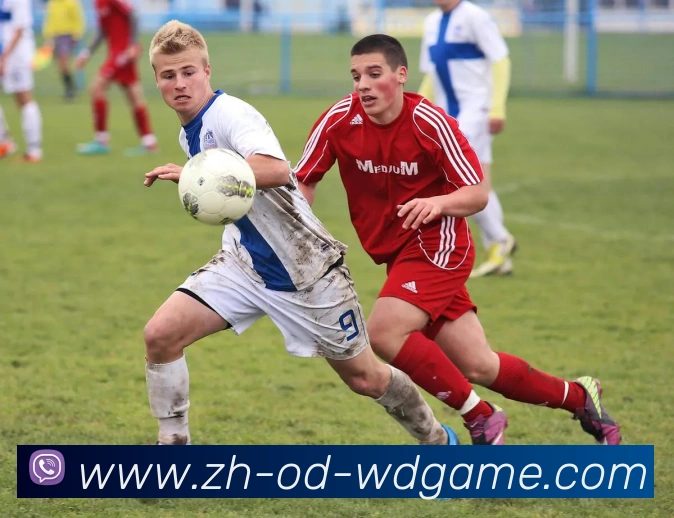 多媒体互动体验